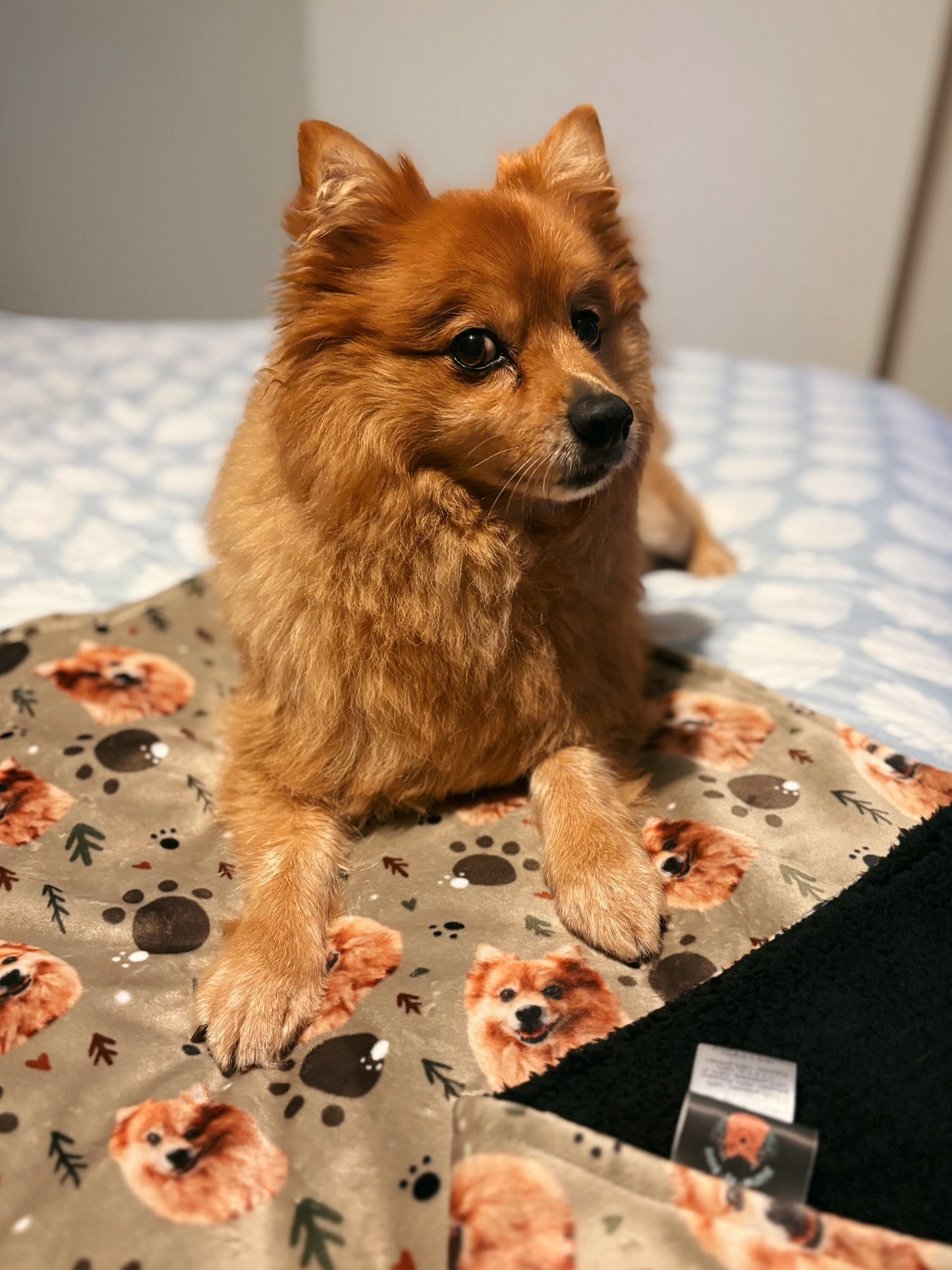 Personalised Pet Blanket (4 week turnaround time)