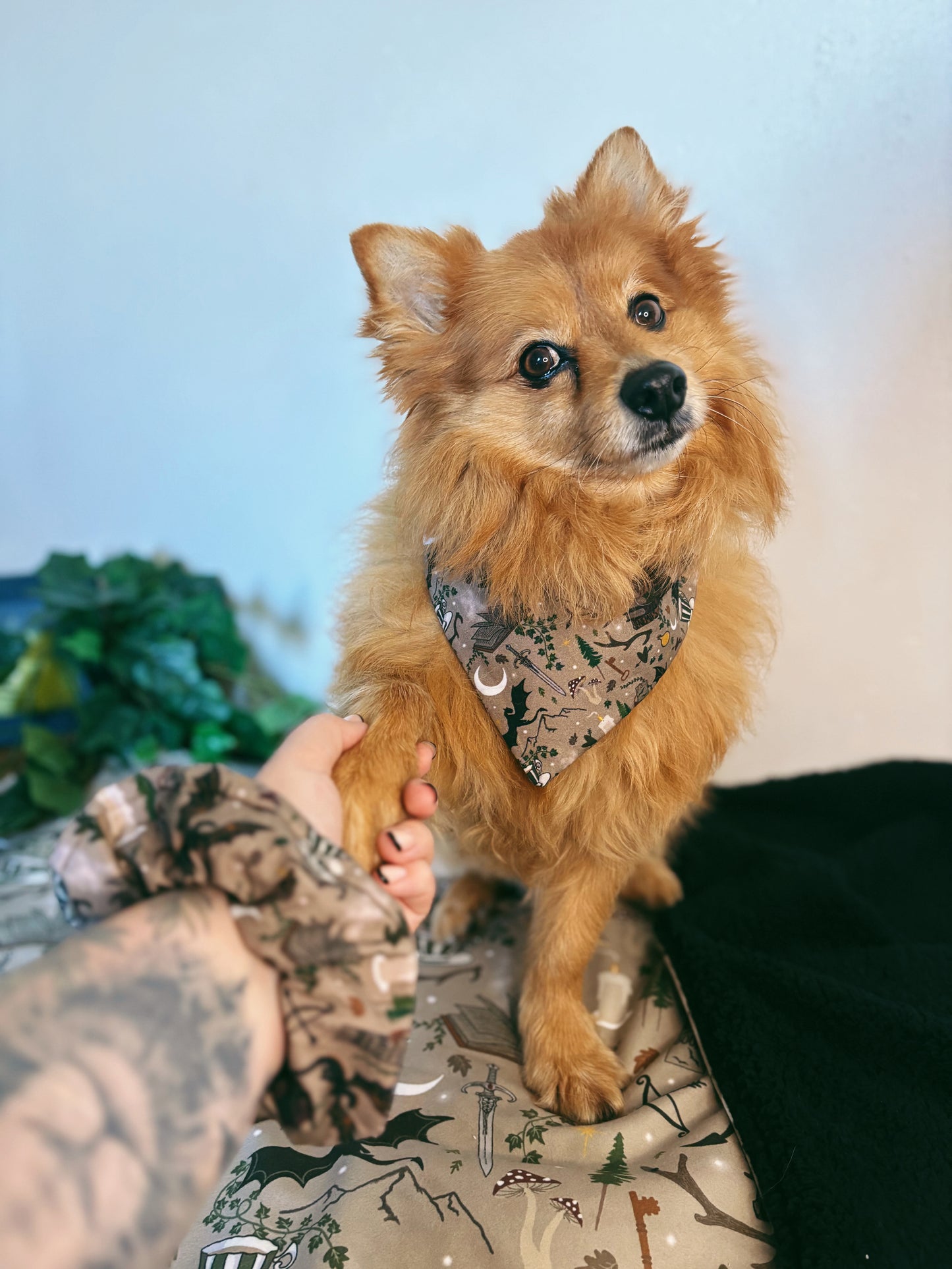 Bookish Fantasy - Pet Bandana