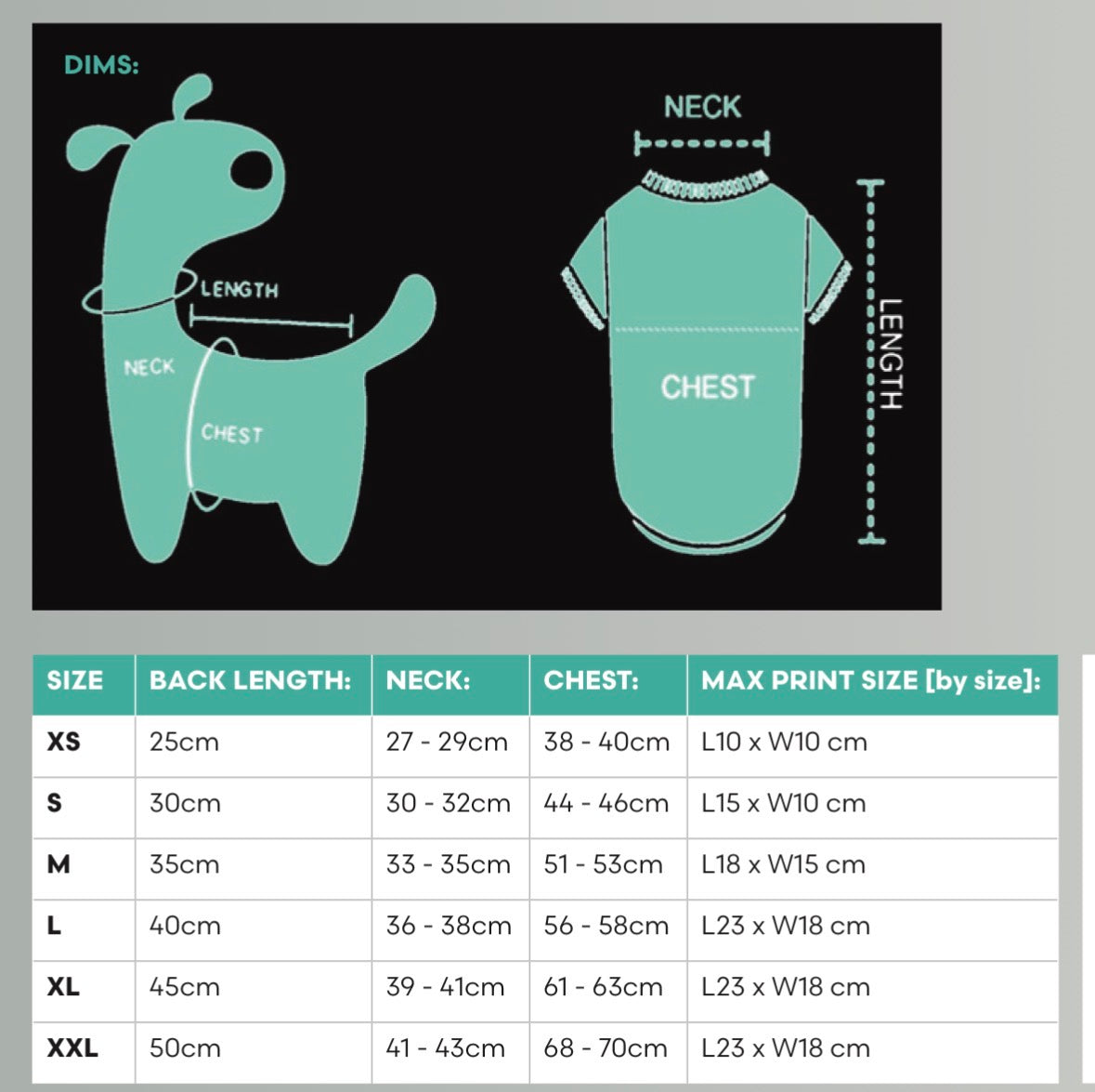 Pennywise - Horror - Pet Apparel