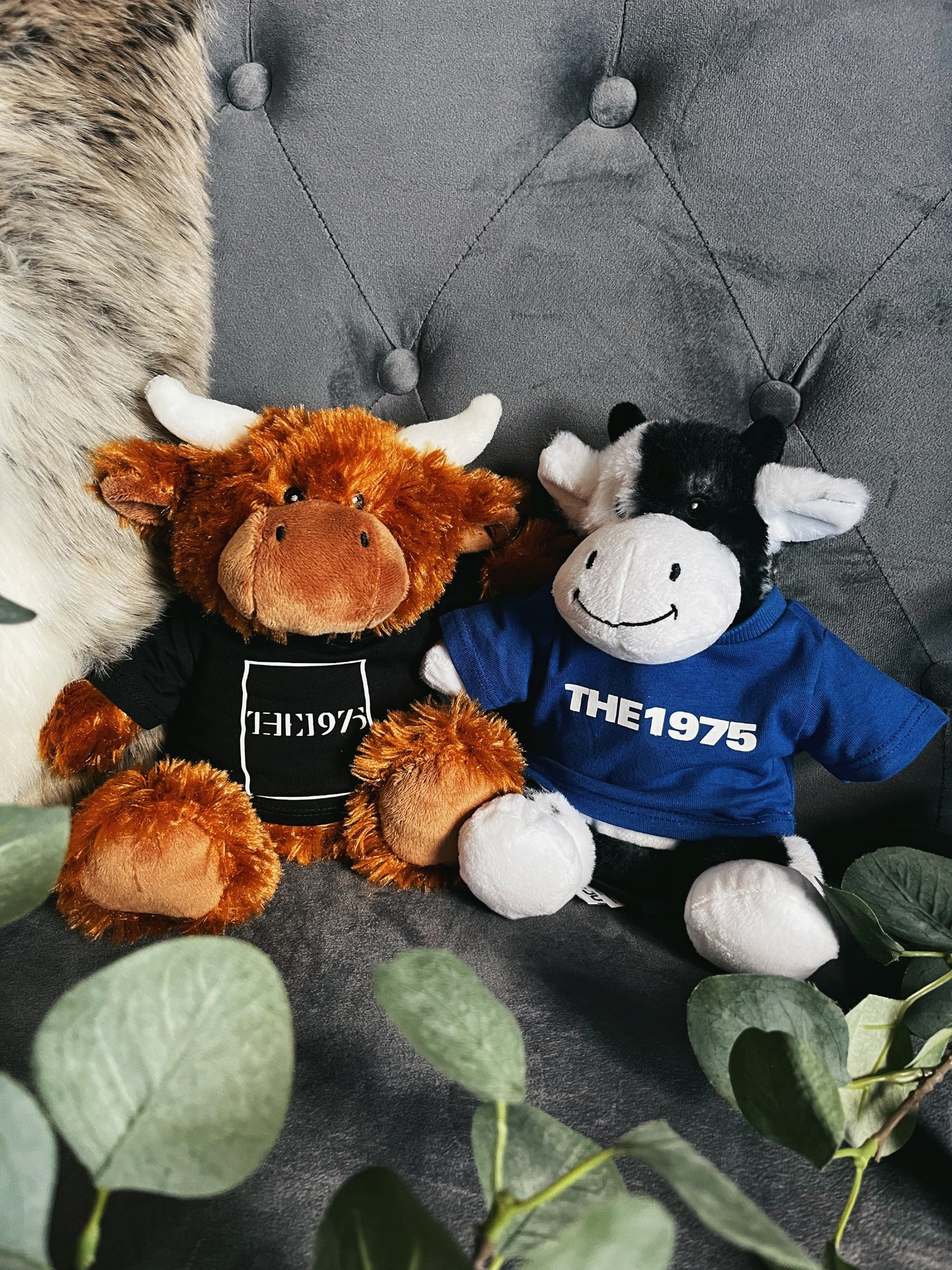 THE 1975 - Highland Cow in a black Tee - Plushie