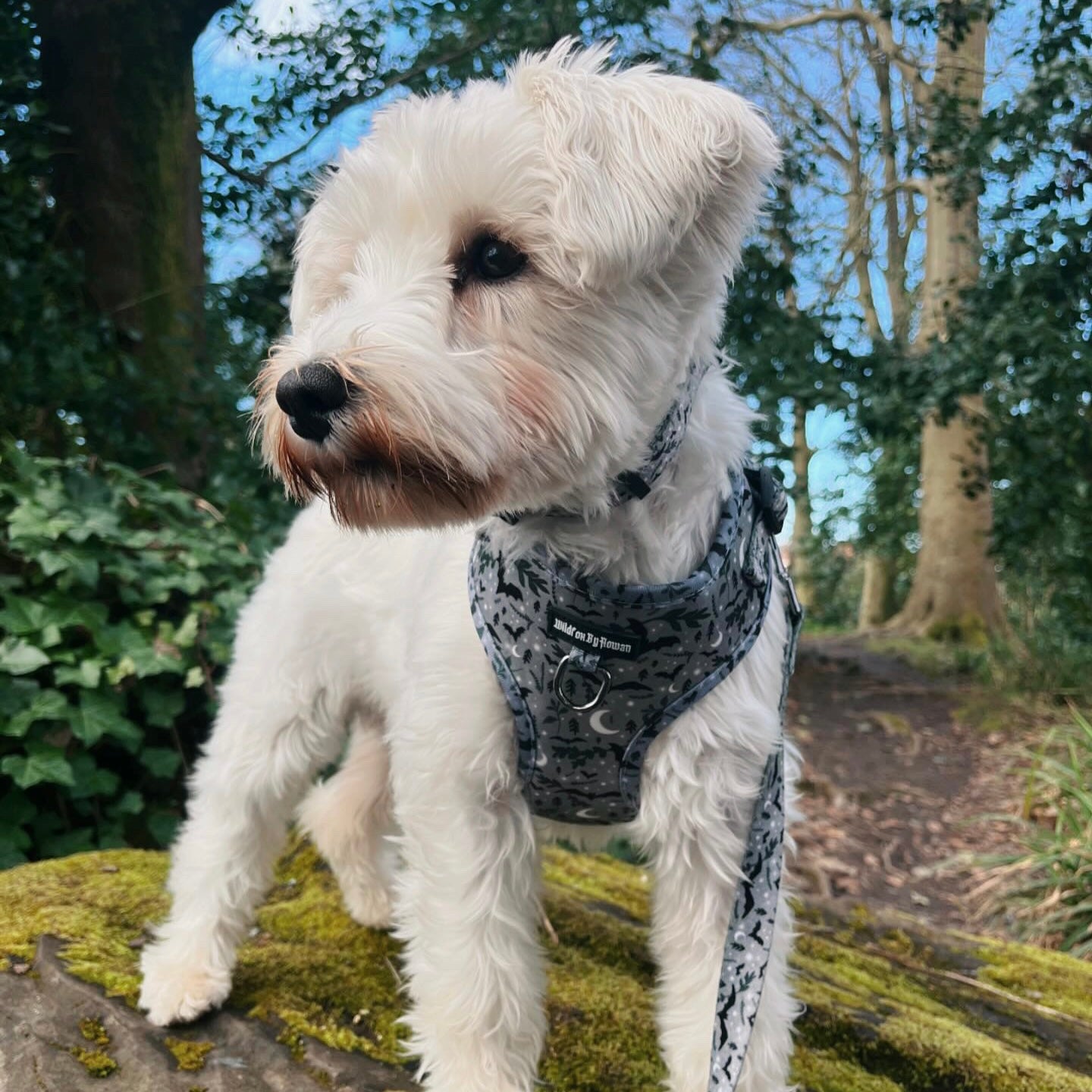 Mystic Forest - Adjustable Pet Harness