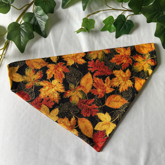 Autumn Leaves - Pet Bandana