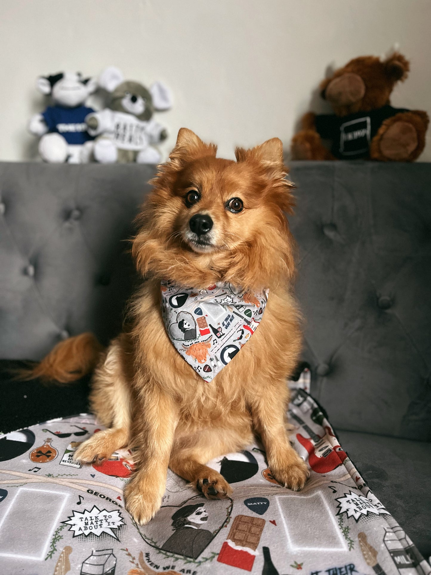 The 1975 Icons - Pet Bandana