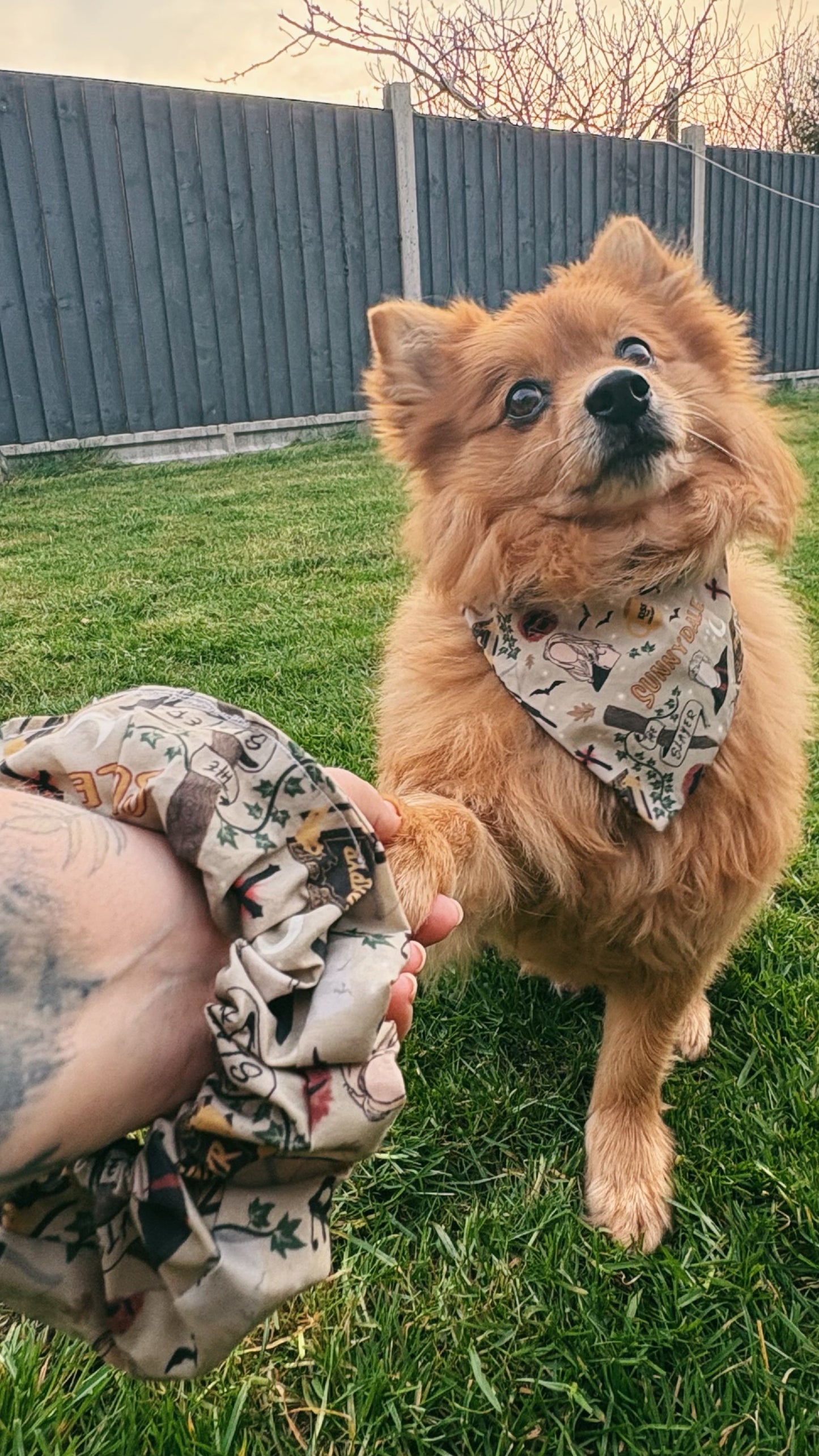 Buffy the Vampire Slayer - Pet Bandana