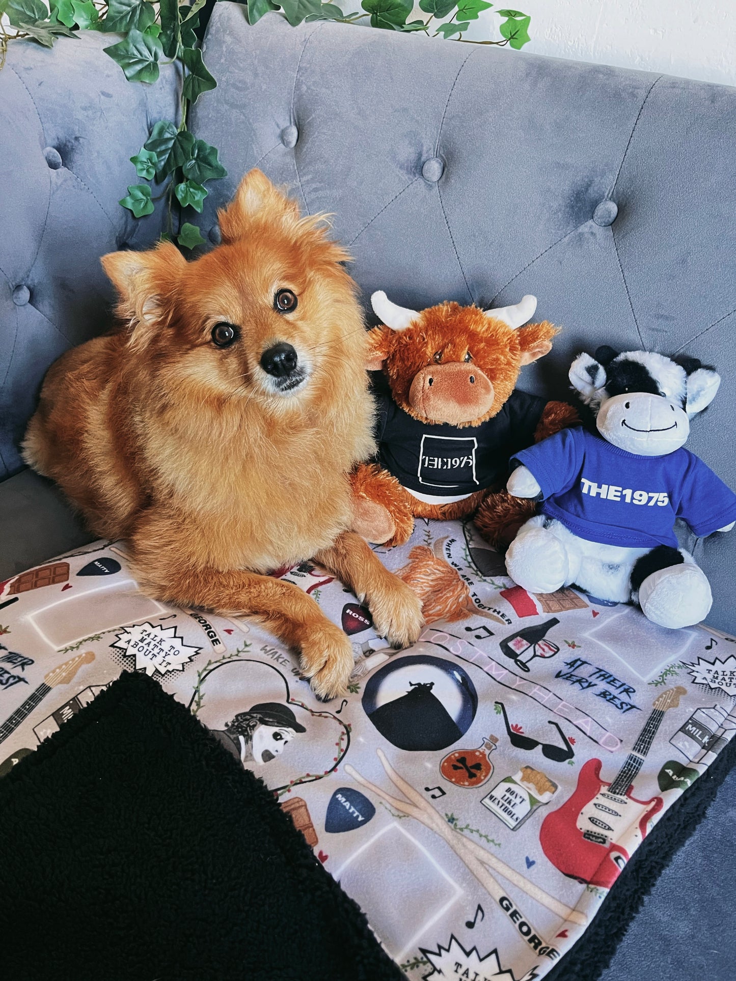The 1975 - Fleece/Sherpa Blanket (5 week turnaround time)