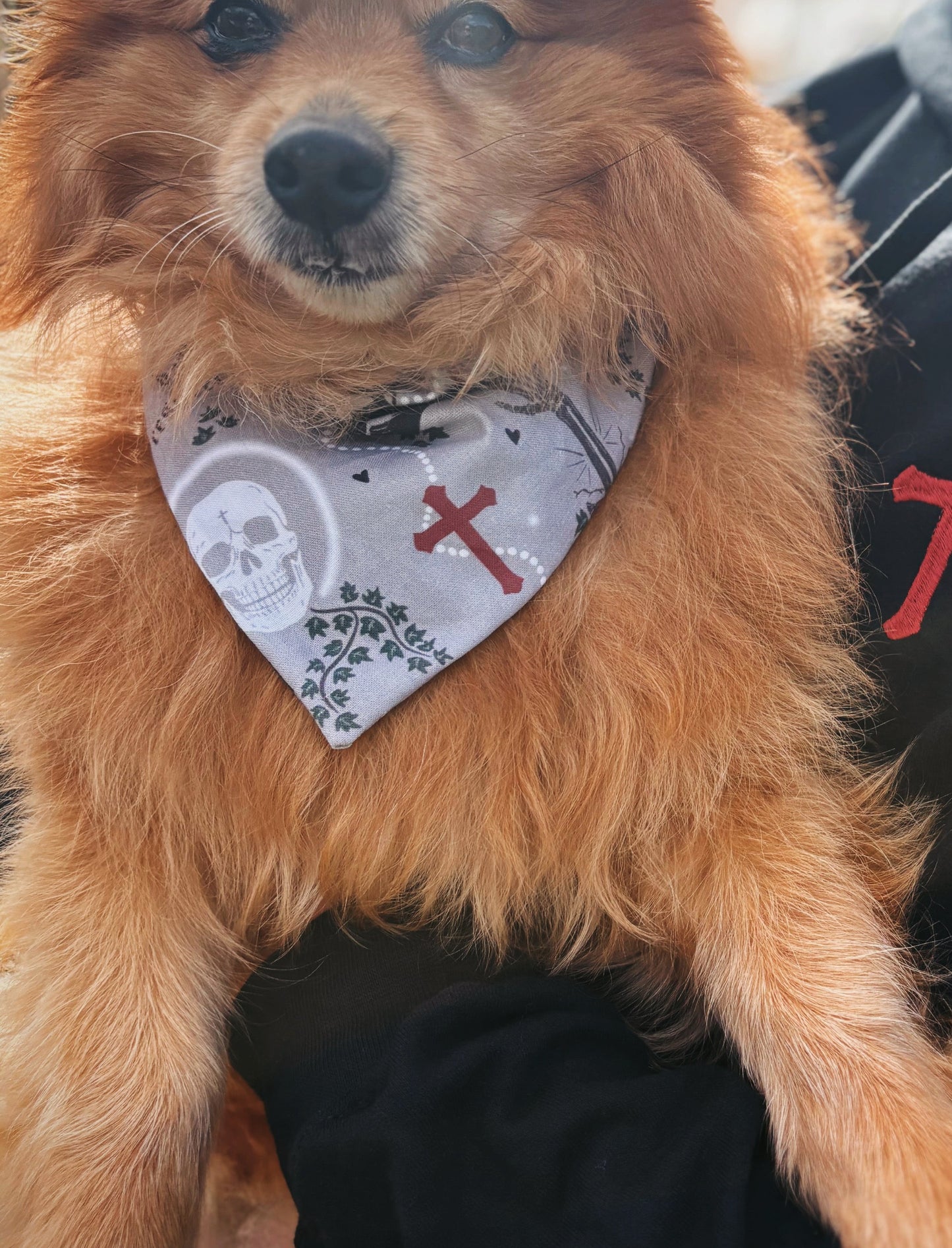 Death & Resurrection - Christian - Pet Bandana