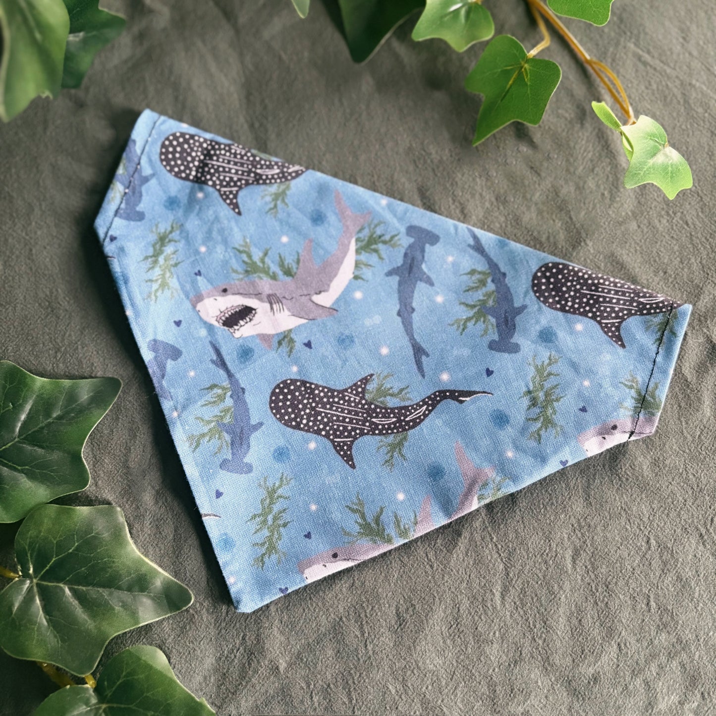 Sharks - Pet Bandana