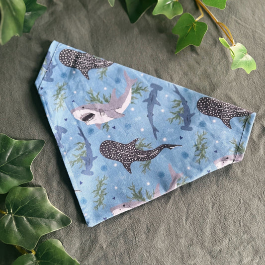 Sharks - Pet Bandana
