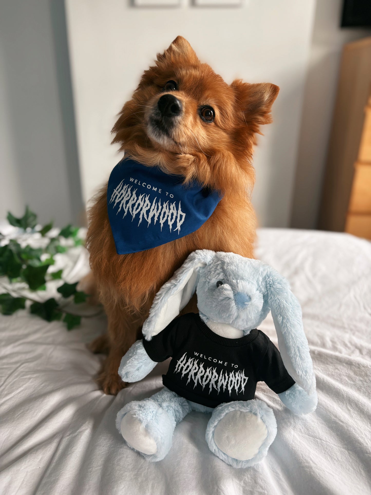‘Welcome to Horrorwood’ - Pet Bandana