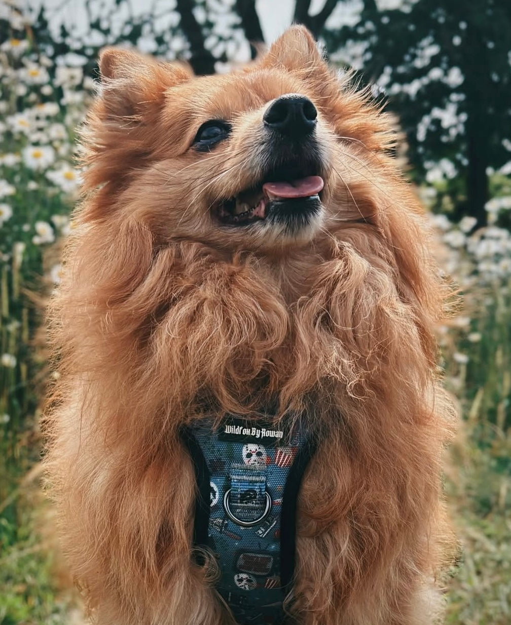 Horror - Tactical Pet Harness