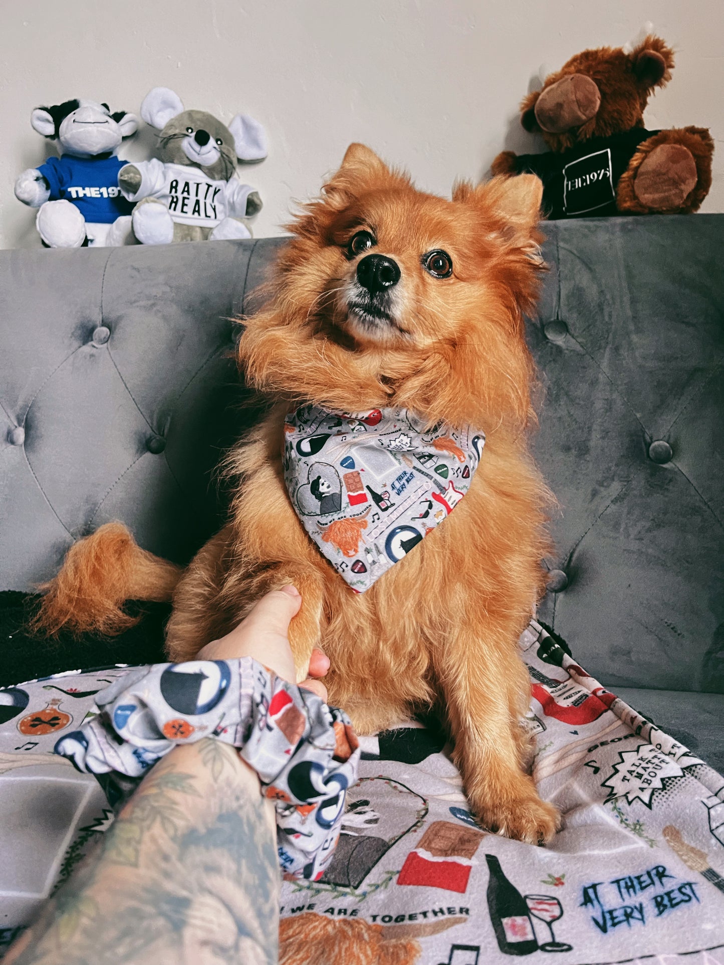 The 1975 Icons - Pet Bandana