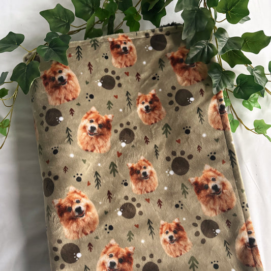 Personalised Pet Blanket (4 week turnaround time)