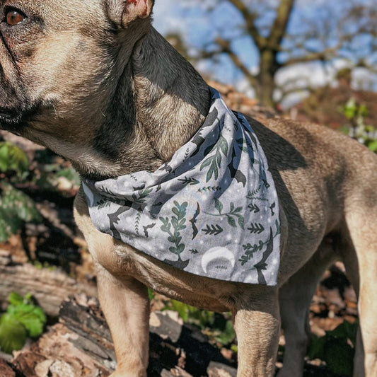Mystic Forest - Pet Bandana